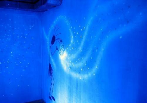 Краска для росписи стен. Варианты выбора красок для декорации стен