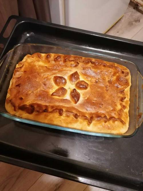 Чем покрасить стекло духовки. Стекло духовки