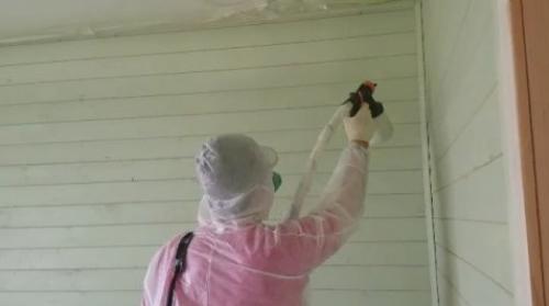 Как правильно красить валиком дерево. Валик, кисти или краскопульт?