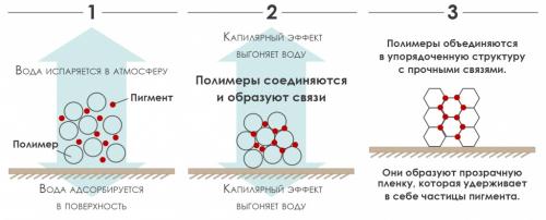 Акриловая краска для потолка. Главные особенности