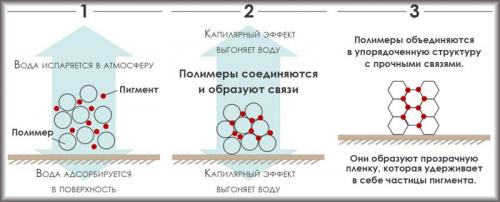 Сколько воды добавлять в водоэмульсионную краску. Когда необходимо разбавлять водоэмульсионные составы
