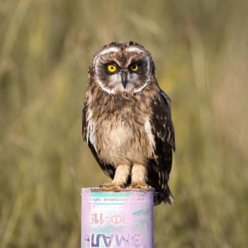 При какой температуре можно красить пф-115. Маркировка ПФ 115: расшифровка значений