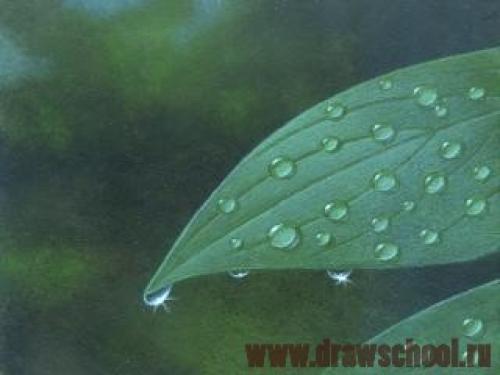 Как рисовать воду акрилом. Как нарисовать воду красками?