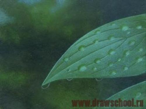 Как рисовать воду акрилом. Как нарисовать воду красками?