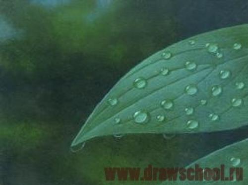 Как рисовать воду акрилом. Как нарисовать воду красками?