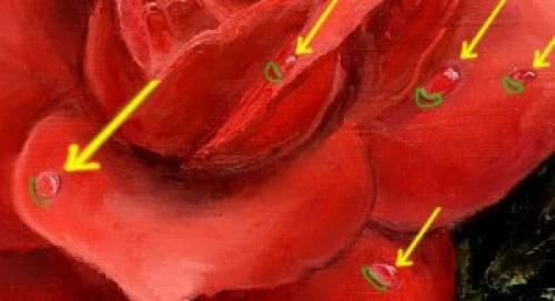 Как рисовать воду акрилом поэтапно. Как нарисовать капли воды