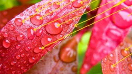 Как рисовать воду акрилом поэтапно. Как нарисовать капли воды 01 Как рисовать воду акрилом поэтапно. Как нарисовать капли воды 01