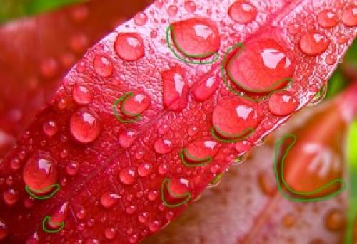 Как рисовать воду акрилом поэтапно. Как нарисовать капли воды 05 Как рисовать воду акрилом поэтапно. Как нарисовать капли воды 05