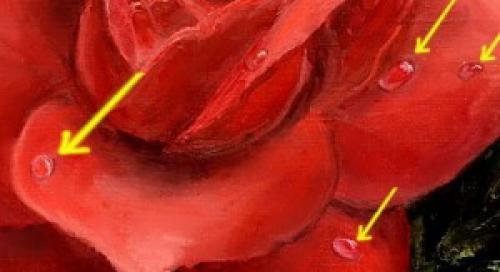 Как рисовать воду акрилом поэтапно. Как нарисовать капли воды 02 Как рисовать воду акрилом поэтапно. Как нарисовать капли воды 02