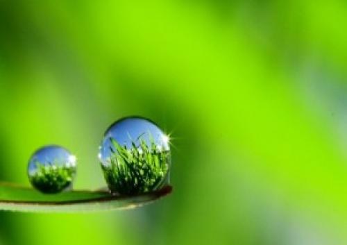 Как рисовать воду акрилом поэтапно. Как нарисовать капли воды