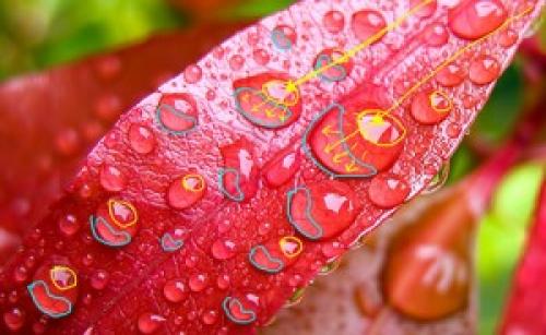 Как рисовать воду акрилом поэтапно. Как нарисовать капли воды 03 Как рисовать воду акрилом поэтапно. Как нарисовать капли воды 03