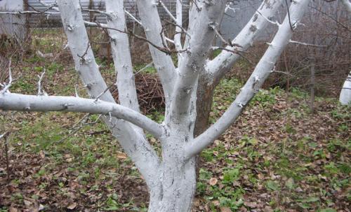 Самые популярные вопросы по акриловой краске. 