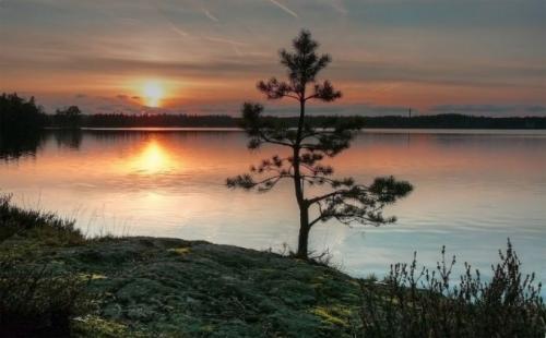 Как нарисовать воду акварелью. Как рисовать воду акварелью