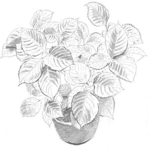 Как нарисовать воду красками. Рисуем воду акварелью. Урок детям 10 Как нарисовать воду красками. Рисуем воду акварелью. Урок детям 10