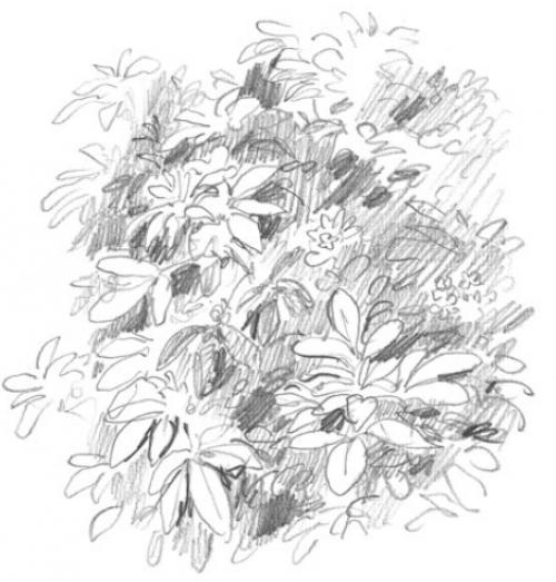 Как нарисовать воду красками. Рисуем воду акварелью. Урок детям 09 Как нарисовать воду красками. Рисуем воду акварелью. Урок детям 09