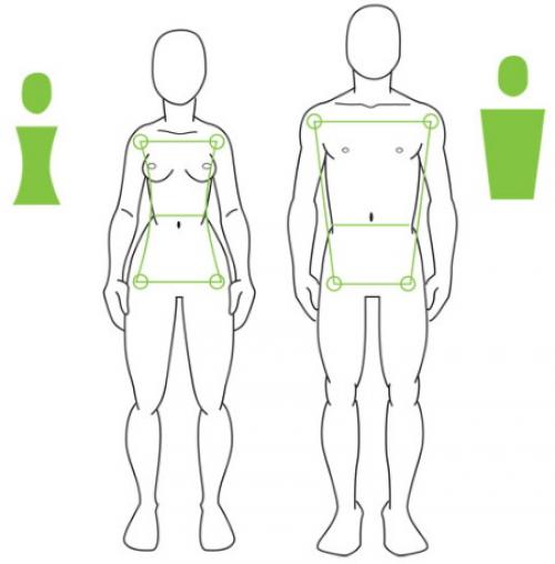 Как научиться красиво рисовать людей. Анатомия человека для рисования для начинающих поэтапно: позы, голова, аниме, лицо, тело