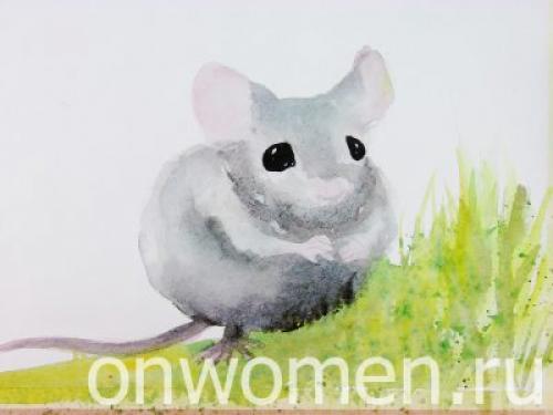 Животные акварелью поэтапно. Мышка акварелью