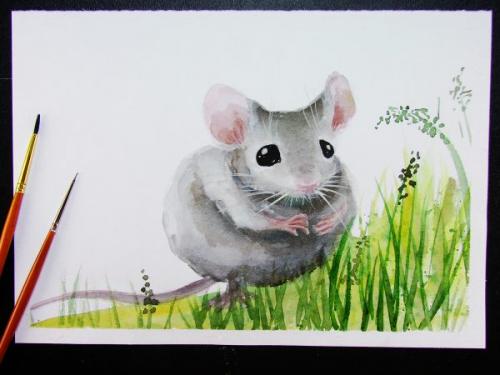 Животные акварелью поэтапно. Мышка акварелью