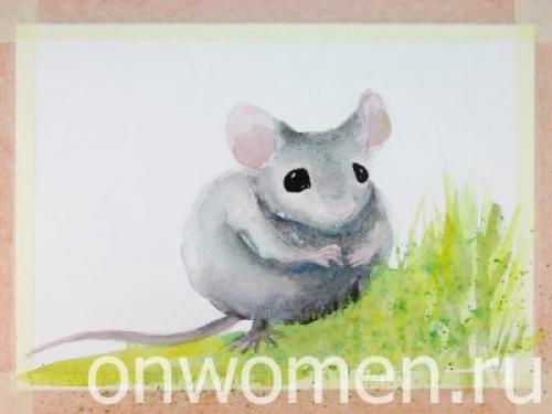 Животные акварелью поэтапно. Мышка акварелью