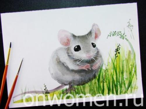 Животные акварелью поэтапно. Мышка акварелью