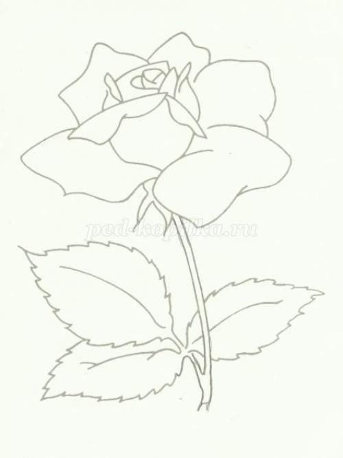 Витраж рисунок на бумаге простой. Рисование для школьников в технике: Витраж 02 Витраж рисунок на бумаге простой. Рисование для школьников в технике: Витраж 02