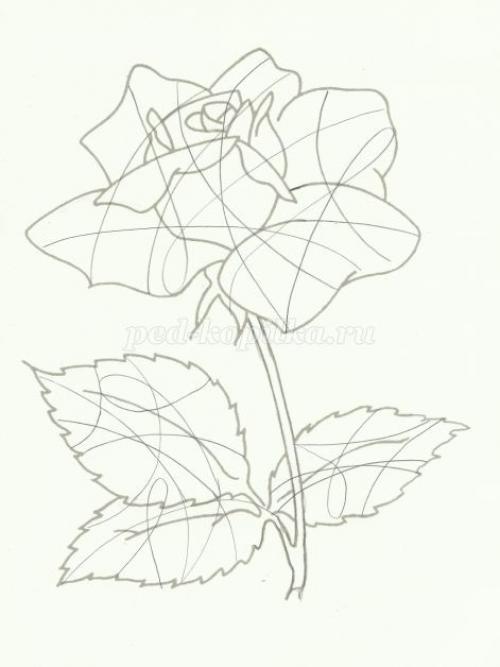 Витраж рисунок на бумаге простой. Рисование для школьников в технике: Витраж 03 Витраж рисунок на бумаге простой. Рисование для школьников в технике: Витраж 03