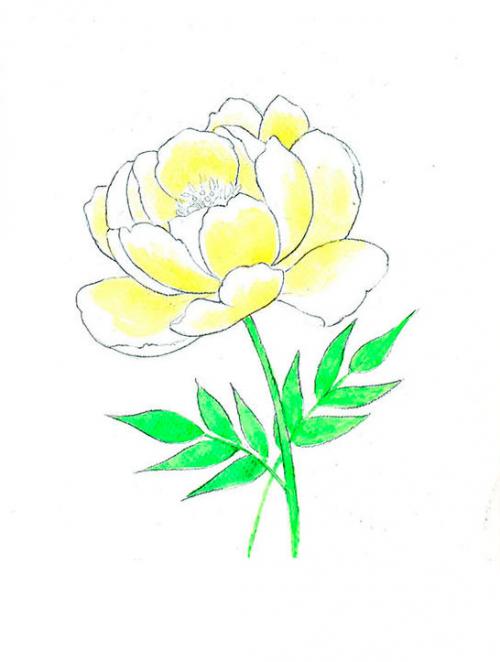 Рисунки красками для срисовки. Рисунки акварелью