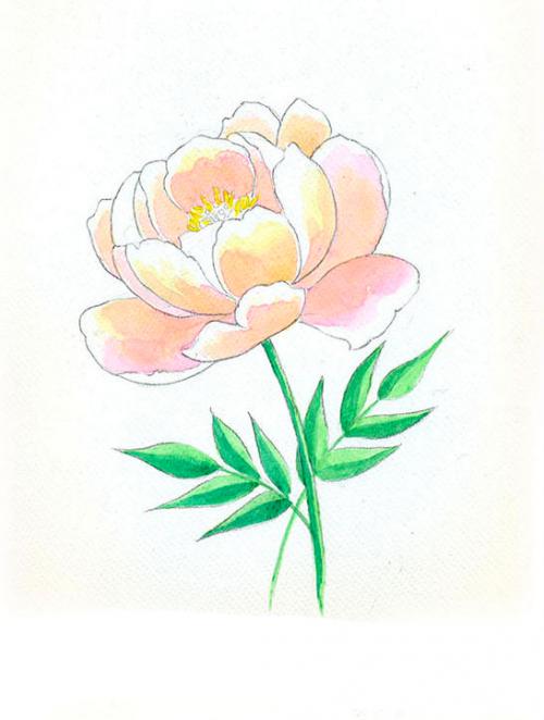 Рисунки красками для срисовки. Рисунки акварелью