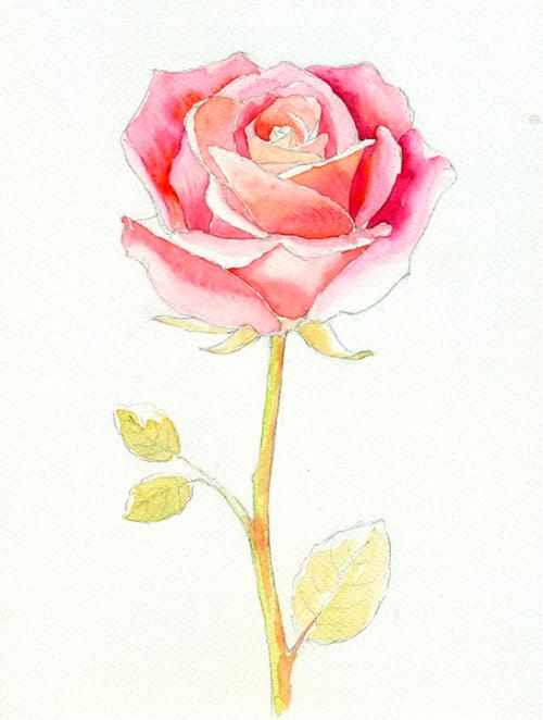 Рисунки красками для срисовки. Рисунки акварелью