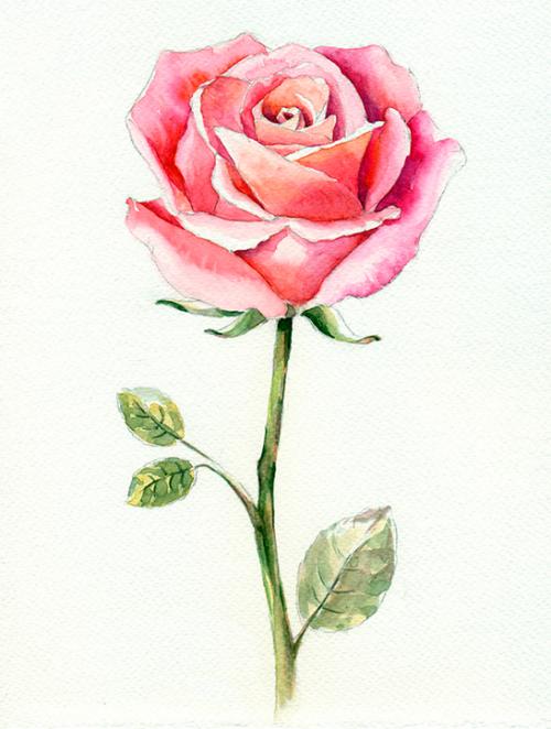 Рисунки красками для срисовки. Рисунки акварелью