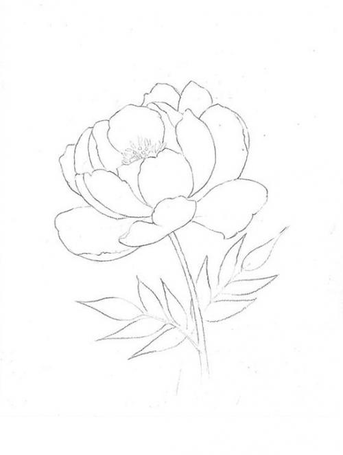 Рисунки красками для срисовки. Рисунки акварелью