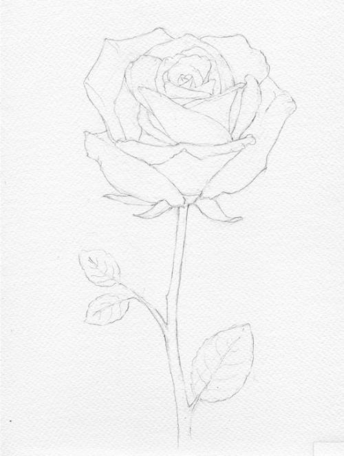 Рисунки красками для срисовки. Рисунки акварелью