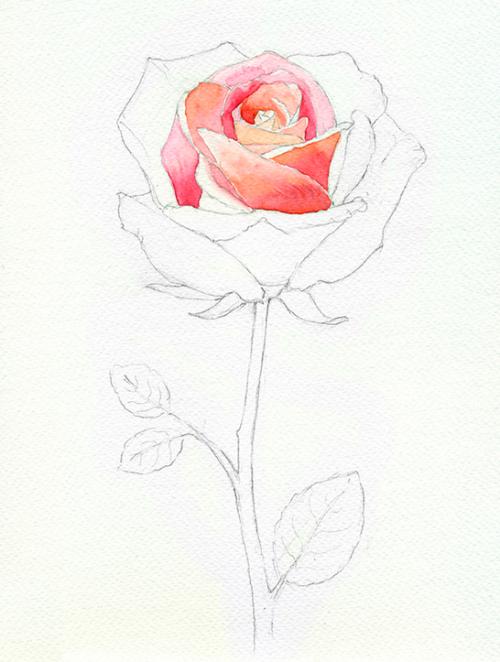 Рисунки красками для срисовки. Рисунки акварелью