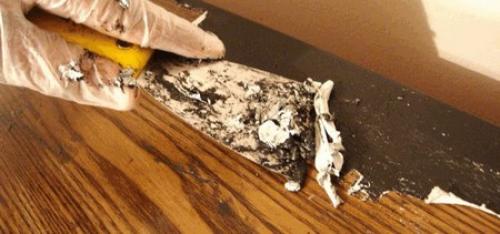 Шпаклевка двери перед покраской. 