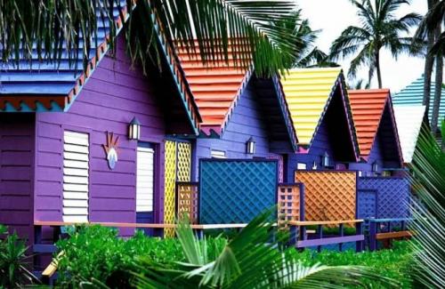 Краска для дерева декоративная. Требования к красителям