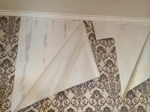 Можно ли красить не высохшую штукатурку. Чем грозит отделка стен с непросохшей штукатуркой