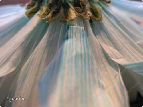 Как сделать краски из цветов. Мастер-класс Раннее развитие Флористика искусственная Красим живые цветы