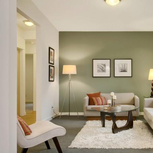 Как мыть матовую краску на стене. Современная водоэмульсионная краска