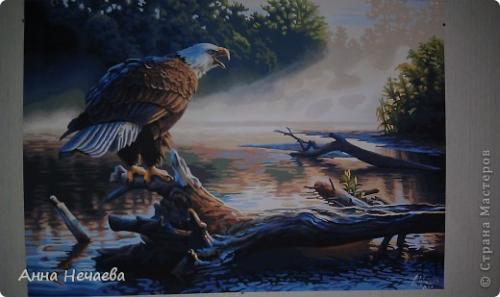 Зачем контрольный лист в картине по номерам. Материалы и инструменты Рисование и живопись Делюсь опытом работы с рисунками по номерам Бумага Краска