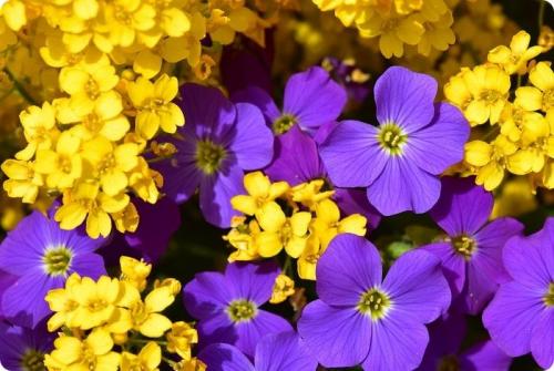 Как получить коричневый цвет. Какие цвета нужны для получения коричневого