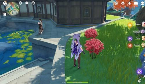 Как сделать краску геншин. Genshin Impact — Как крафтить ткань и краски