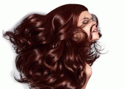 Темный шоколад цвет волос Палет. Палитра красок Палет