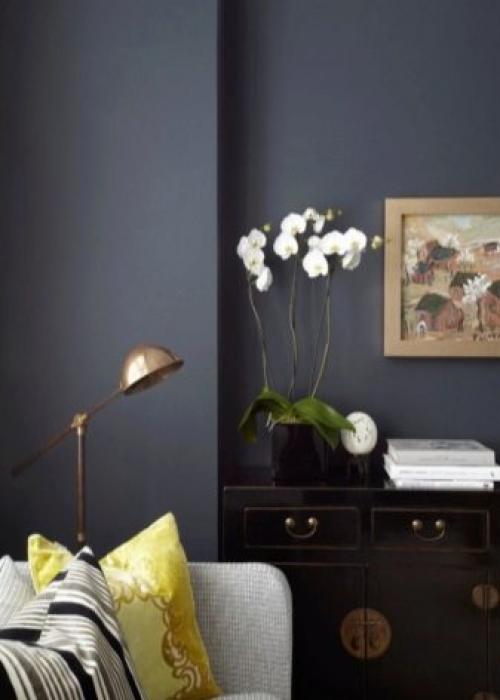 Краска для дерева на водной основе. Виды 09 Краска для дерева на водной основе. Виды 09