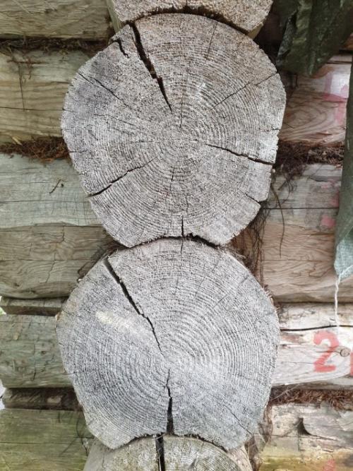 Покраска деревянного дома снаружи. 	Почему древесина на фасаде дома подвержена разрушению? Факторы, способствующие разрушению древесины. 03