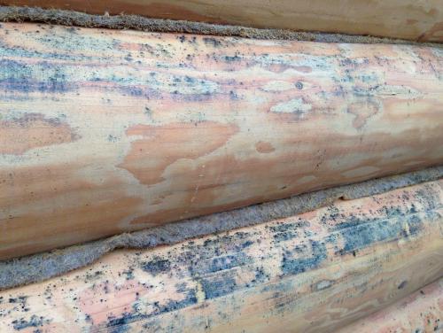 Покраска деревянного дома снаружи. 	Почему древесина на фасаде дома подвержена разрушению? Факторы, способствующие разрушению древесины. 01